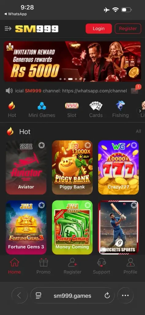 SM999 Game