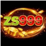 ZS999